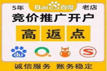 某公司SEM代理策略：实现流量转化